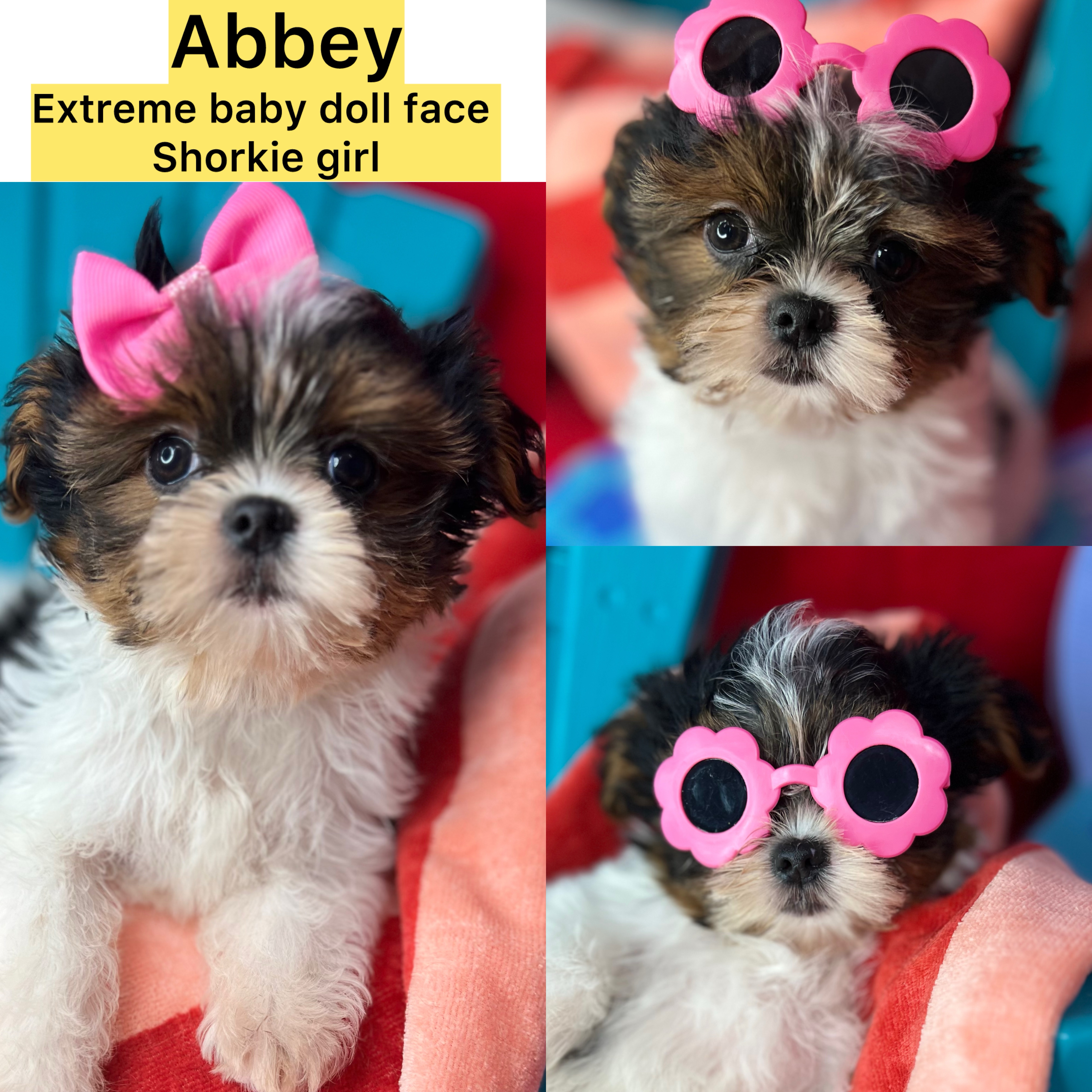 ABBEY! AVAILABLE  EXTREME BABY DOLL FACE  is ready NOW!  CLICK ON PIC FOR INFO
