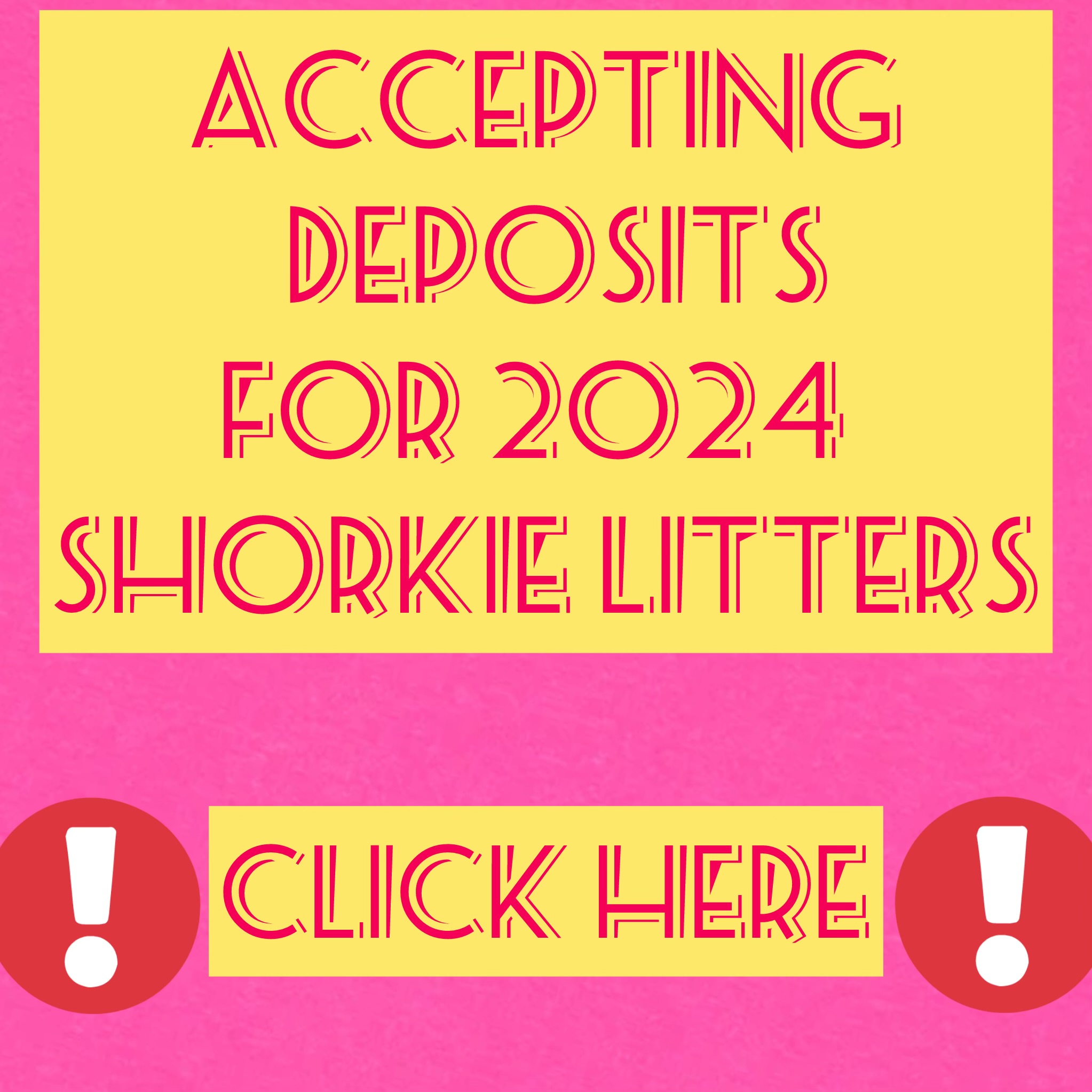 Deposit list  OPEN 2024 LITTERS CLICK HERE