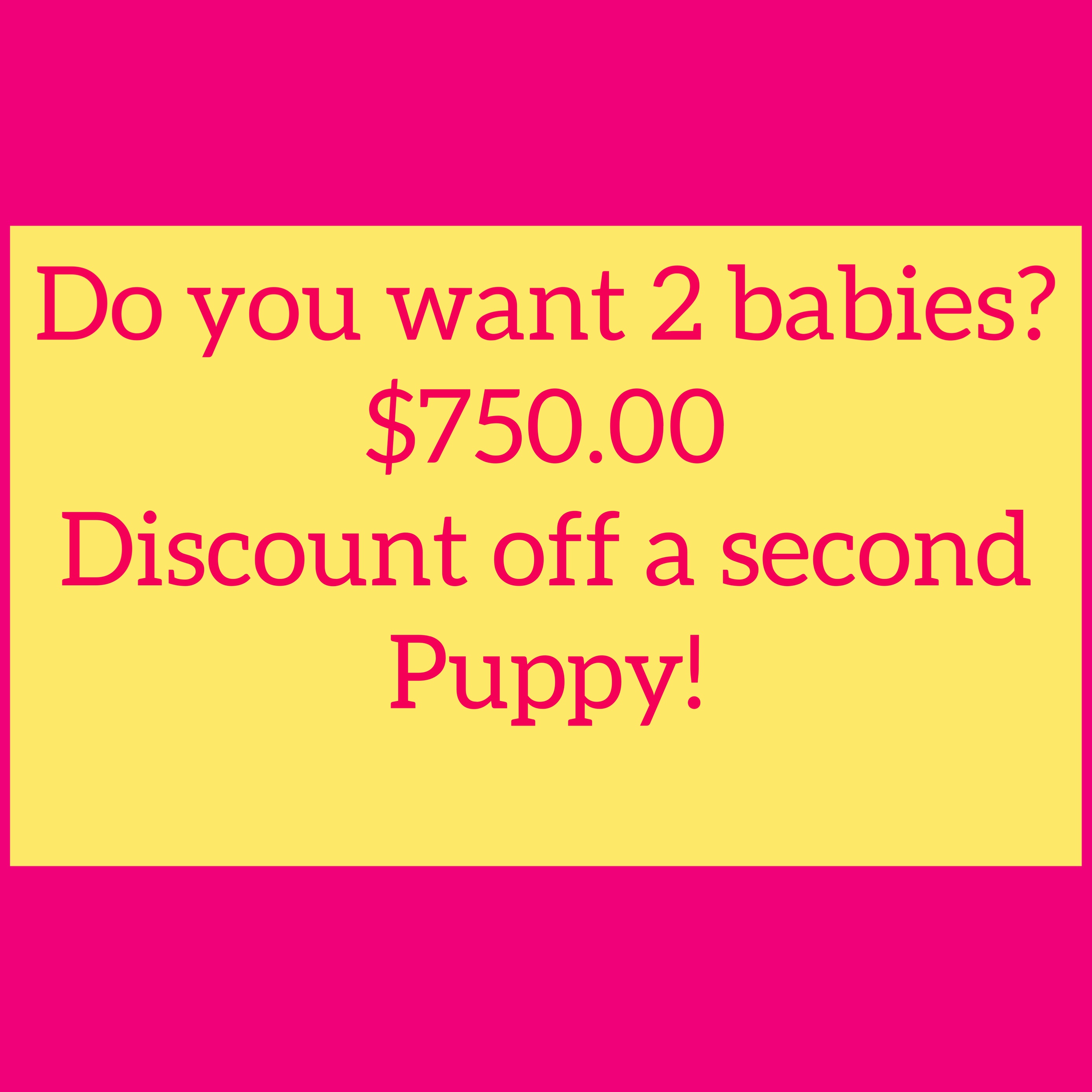 Do you want 2 babies? Click here to find out more!
