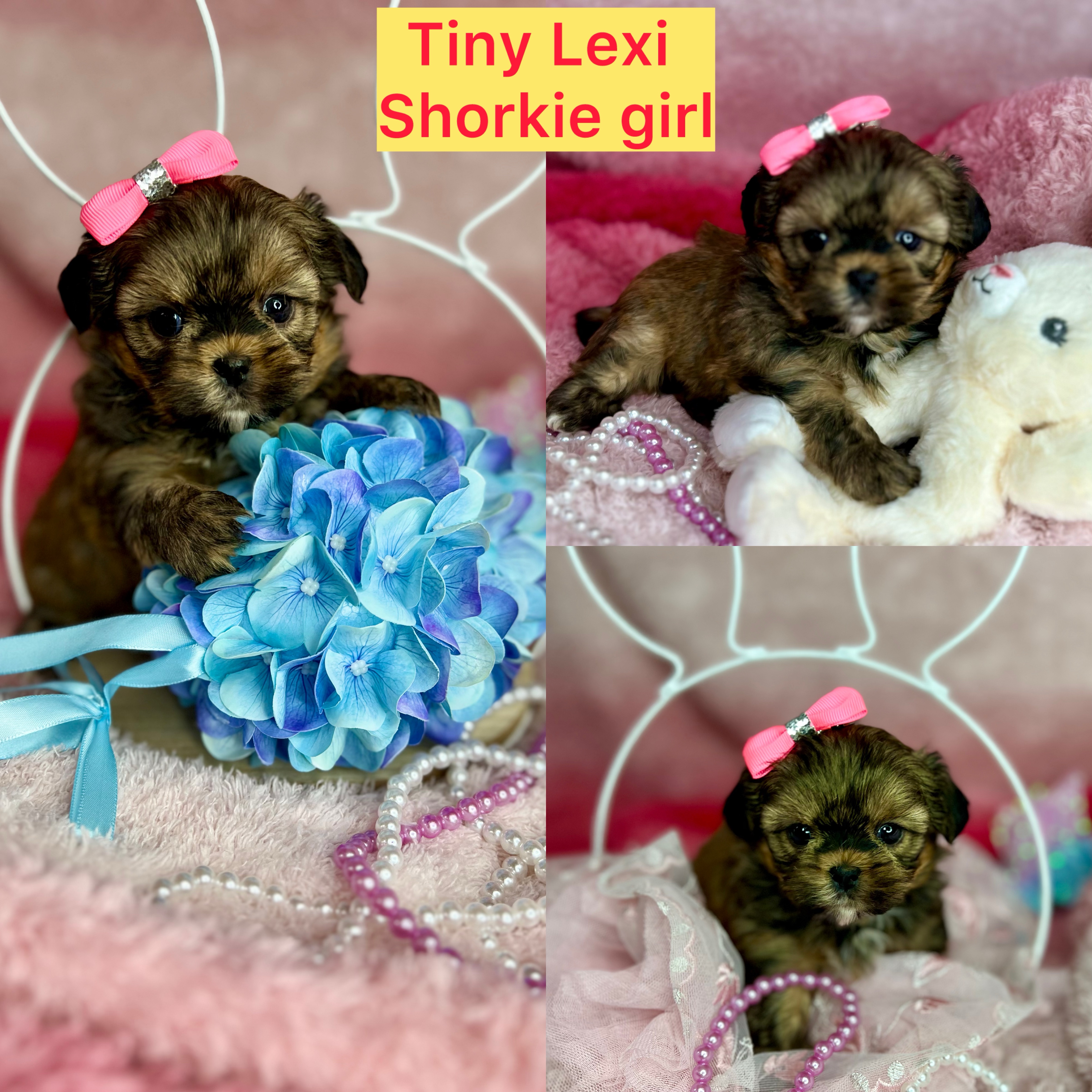 Tiny Lexi AVAILABLE  baby doll face Click on pics for info
