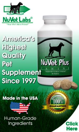 We Use NuVet Because It Works