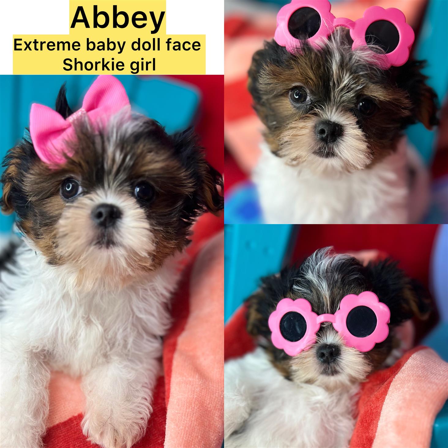 ABBEY! AVAILABLE  EXTREME BABY DOLL FACE  is ready NOW!  CLICK ON PIC FOR INFO