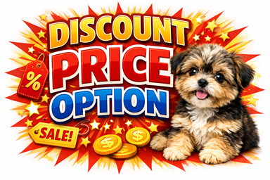 DISCOUNT PRICES AVAILABLE click here