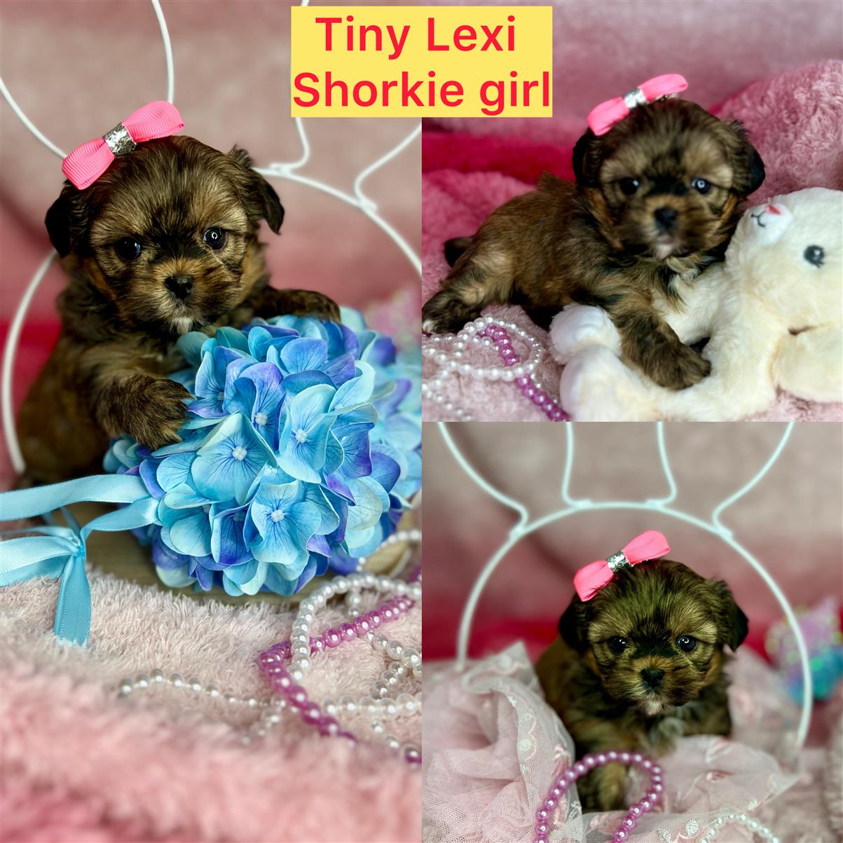 Tiny Lexi AVAILABLE  baby doll face Click on pics for info