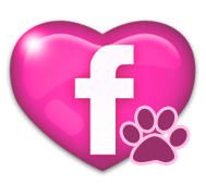 Our Facebook Profile